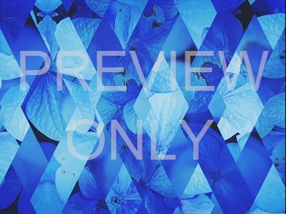 SPRING SHIFT BLUE FULL