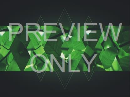 SPRING SHIFT GREEN BAR STILL