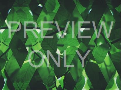 SPRING SHIFT GREEN FULL STILL