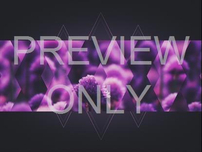 SPRING SHIFT PURPLE BAR STILL