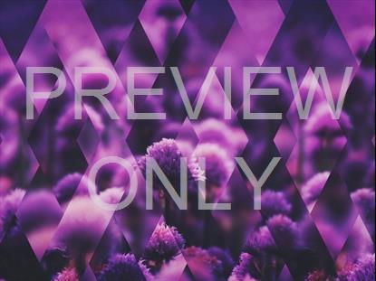 SPRING SHIFT PURPLE FULL STILL