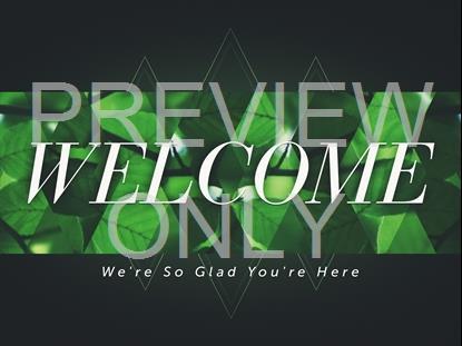 SPRING SHIFT WELCOME STILL