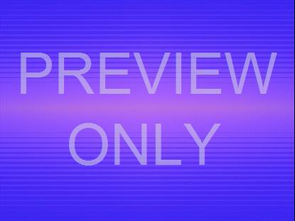 SUMMER VAPORWAVE BLUEBERRY 2