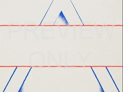 THE GOOD LIFE TRIANGLE UP CUT