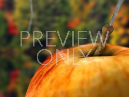 THE APPLE VISUALIZATION 5 STILL