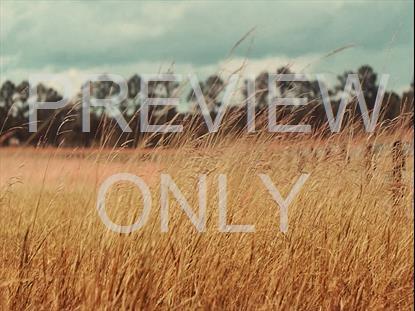 AMBER FIELDS 12 STILL