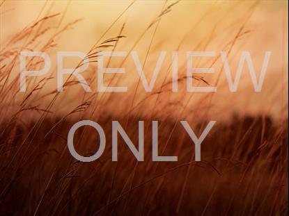 AMBER FIELDS 16 STILL