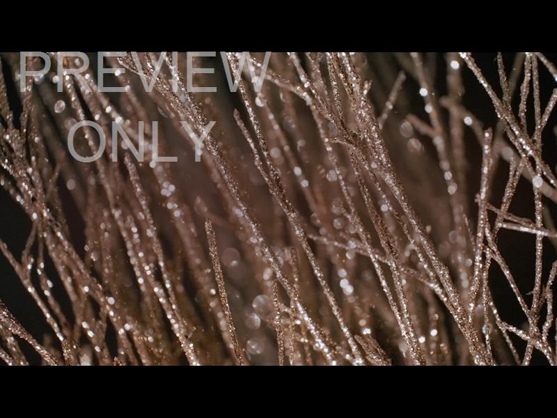 CHRISTMAS GOLD 15 STILL