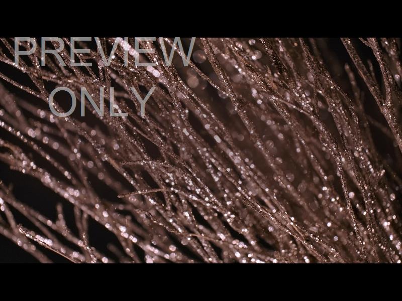 CHRISTMAS GOLD 6 STILL