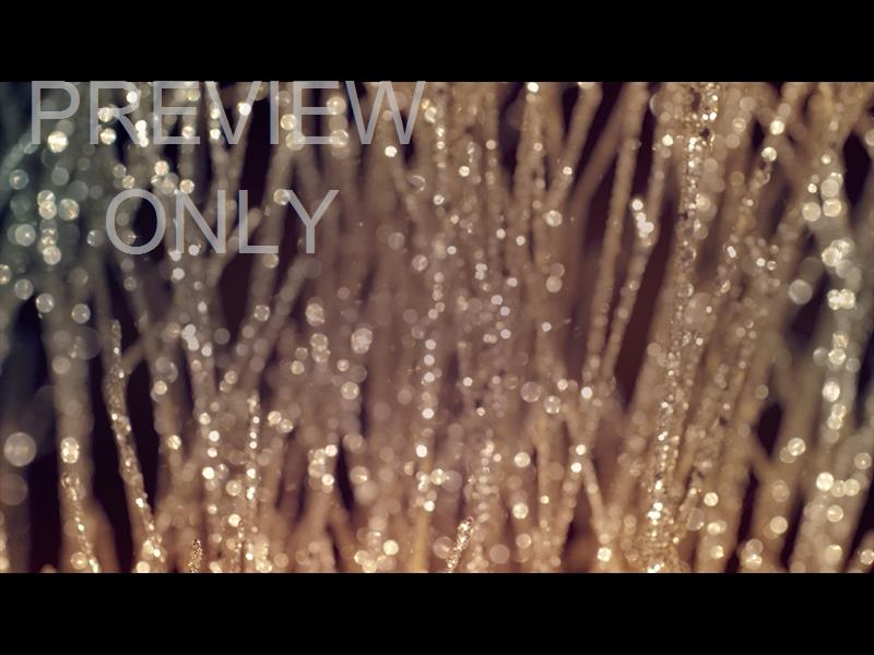 CHRISTMAS GOLD 9 STILL