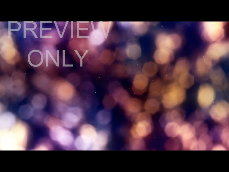 CHRISTMAS LIGHT: 13 STILL