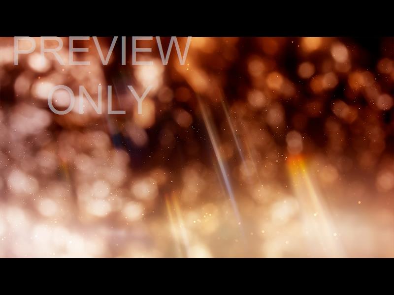 CHRISTMAS LIGHT: 17 STILL