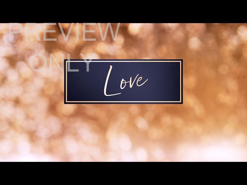 CHRISTMAS LIGHT: LOVE STILL