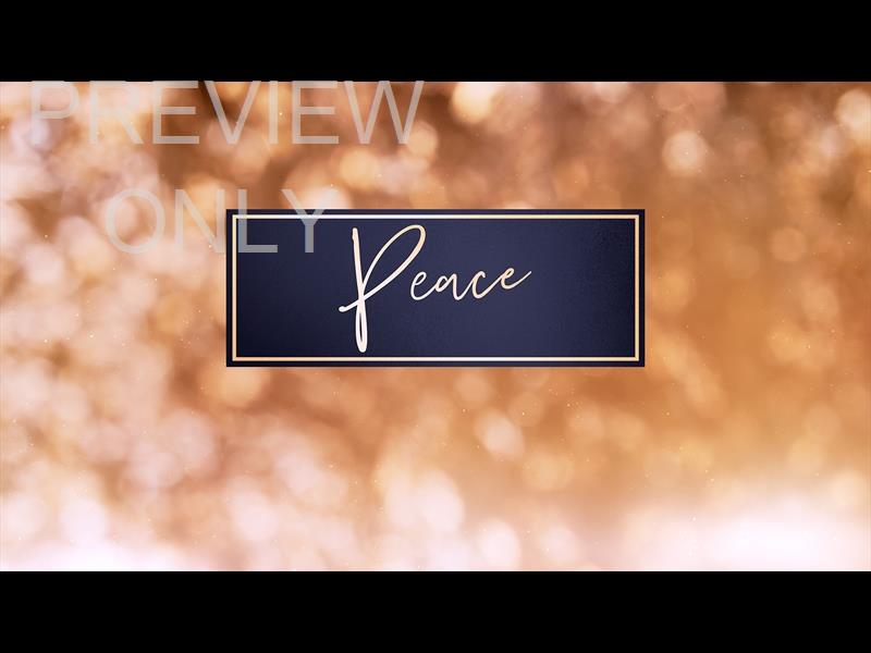 CHRISTMAS LIGHT: PEACE STILL