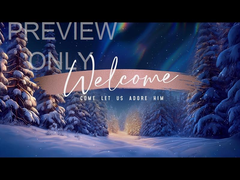 CHRISTMAS SNOW CHRISTMAS WELCOME STILL