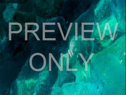 CHRISTMAS GLASS 13 STILL