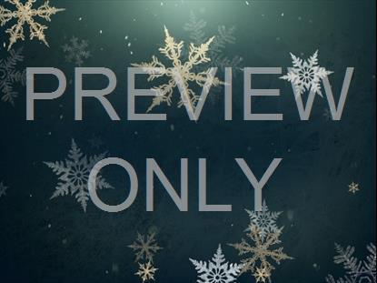 CHRISTMAS SNOWFLAKES 3 STILL