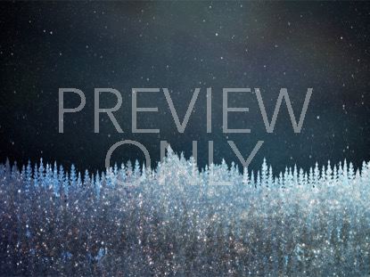 CHRISTMAS SPARKLE 12 STILL