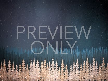 CHRISTMAS SPARKLE 2 STILL