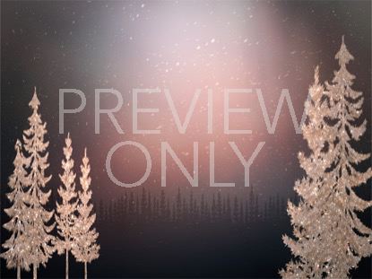 CHRISTMAS SPARKLE 3 STILL