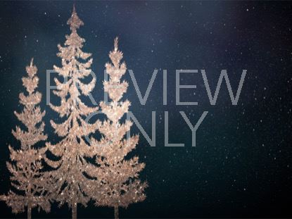 CHRISTMAS SPARKLE 4 STILL