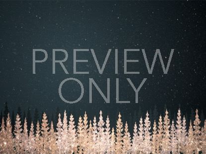 CHRISTMAS SPARKLE 5 STILL