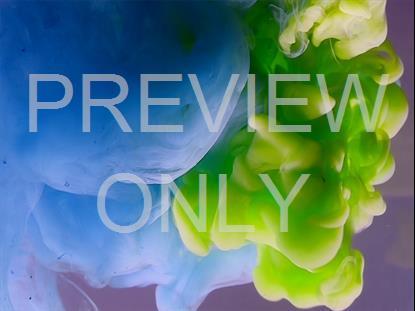 COLORSPLASH 14 STILL