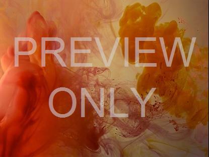 COLORSPLASH 21 STILL