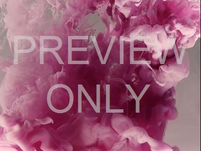 COLORSPLASH 22 STILL