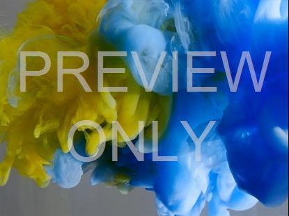 COLORSPLASH 24 STILL