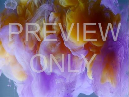 COLORSPLASH 26 STILL