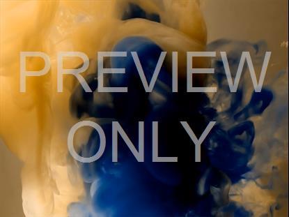 COLORSPLASH 28 STILL