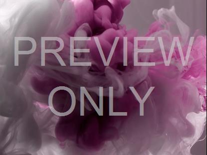 COLORSPLASH 29 STILL