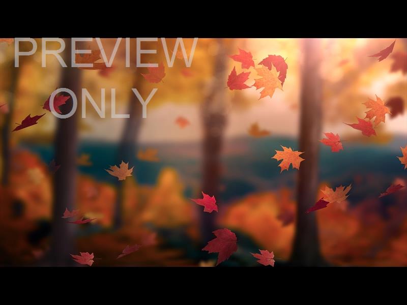 FALL WOODS 12 STILL