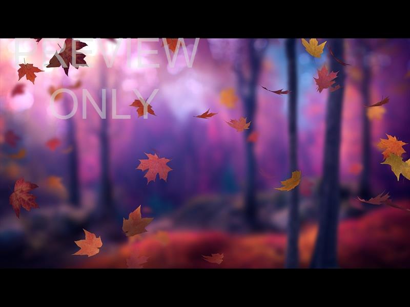FALL WOODS 3 STILL