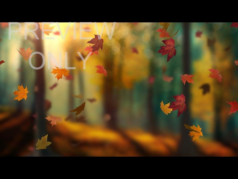 FALL WOODS 7 STILL