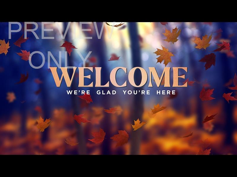 FALL WOODS WELCOME STILL