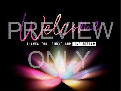 FIREFLOWER STREAM WELCOME STILL