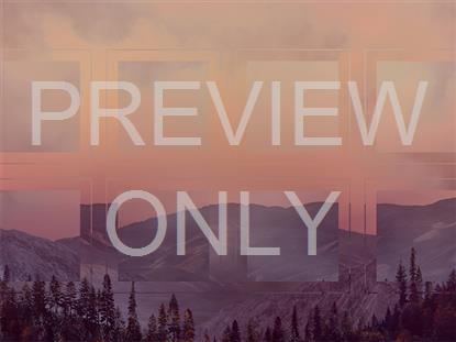 HORIZON FALL 10 REMIX