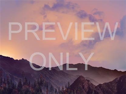 HORIZON FALL 12 STILL