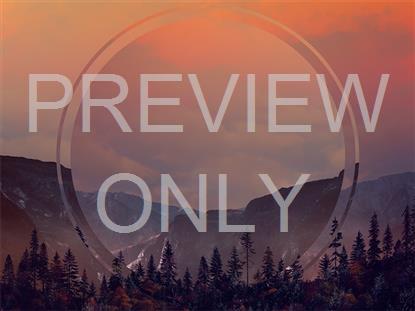 HORIZON FALL 1 REMIX