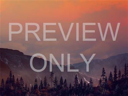 HORIZON FALL 1 STILL