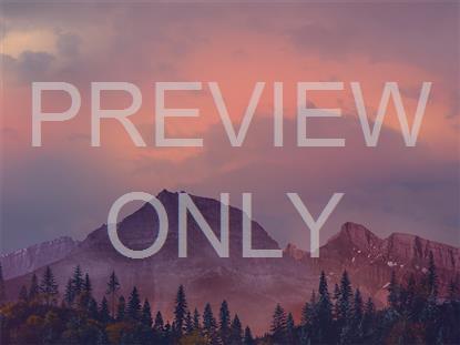 HORIZON FALL 2 STILL