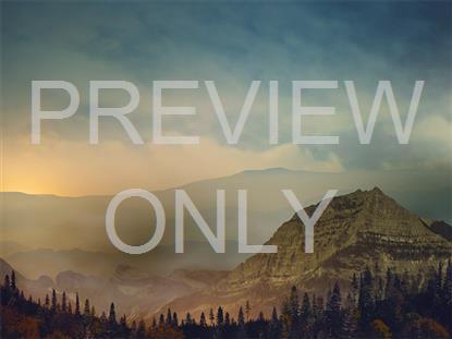 HORIZON FALL 3 STILL