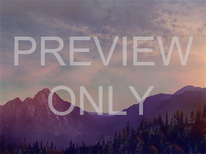 HORIZON FALL 4 STILL