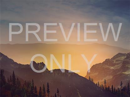 HORIZON FALL 5 STILL