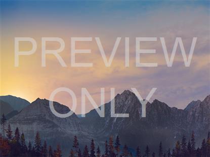 HORIZON FALL 7 STILL