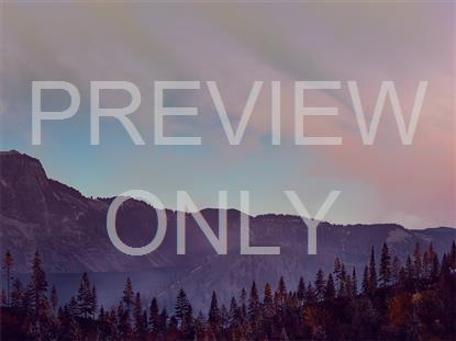 HORIZON FALL 9 STILL