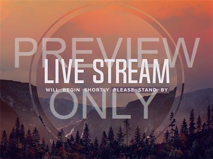 HORIZON FALL LIVE STREAM  STILL