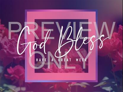 MOTHERS DAY ROSES CLOSE STILL